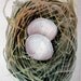 Dove Nest - Original Watercolour - nightly study 259
