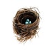 Robin's Nest with three eggs - Original Watercolor - Nightly Study 331