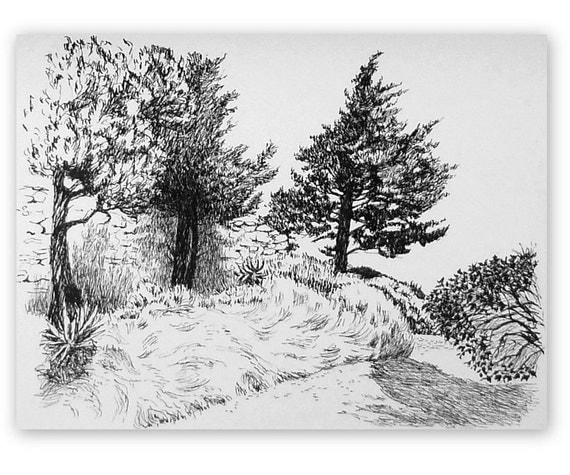 Original ink drawing 'Pine trees at Villeneuve