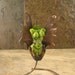 Custom listing for Duree -Kiwi Fairy