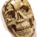 Carved Skull Cabachon - Japanese Picture Jasper - Rare Unusual - Natural