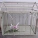 FINAL SALE- Vintage "Wardian" Glass Case/Terrarium