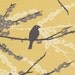 Aviary 2- Sparrows Vintage Yellow JD41- 1/2 yard - Joel Dewberry for Free Spirit bty