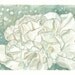 SALE Original Art Watercolour Painting - White Carnation