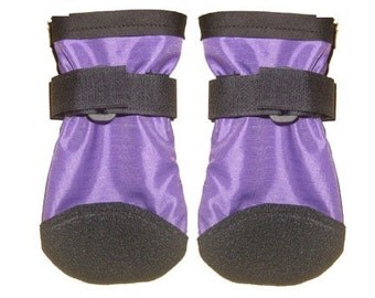 custom dog shoes