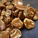 Freshwater Keishi Pearls Keshi Petal Cornflake Pearl Top Drilled Golden Bronze 13mm-16mm 12 Pieces