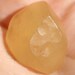 Libyan Gold Tektite Yellow Desert Glass from Egypt King Tut Stone Specimen