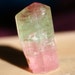 Tourmaline Tri Colored Trigonal Red Capped Green and Pink RARE Crystal Specimen