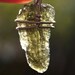 Moldavite Wire Wrapped Green Meteorite Pendant in Sterling Silver