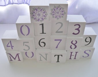 monthly baby blocks