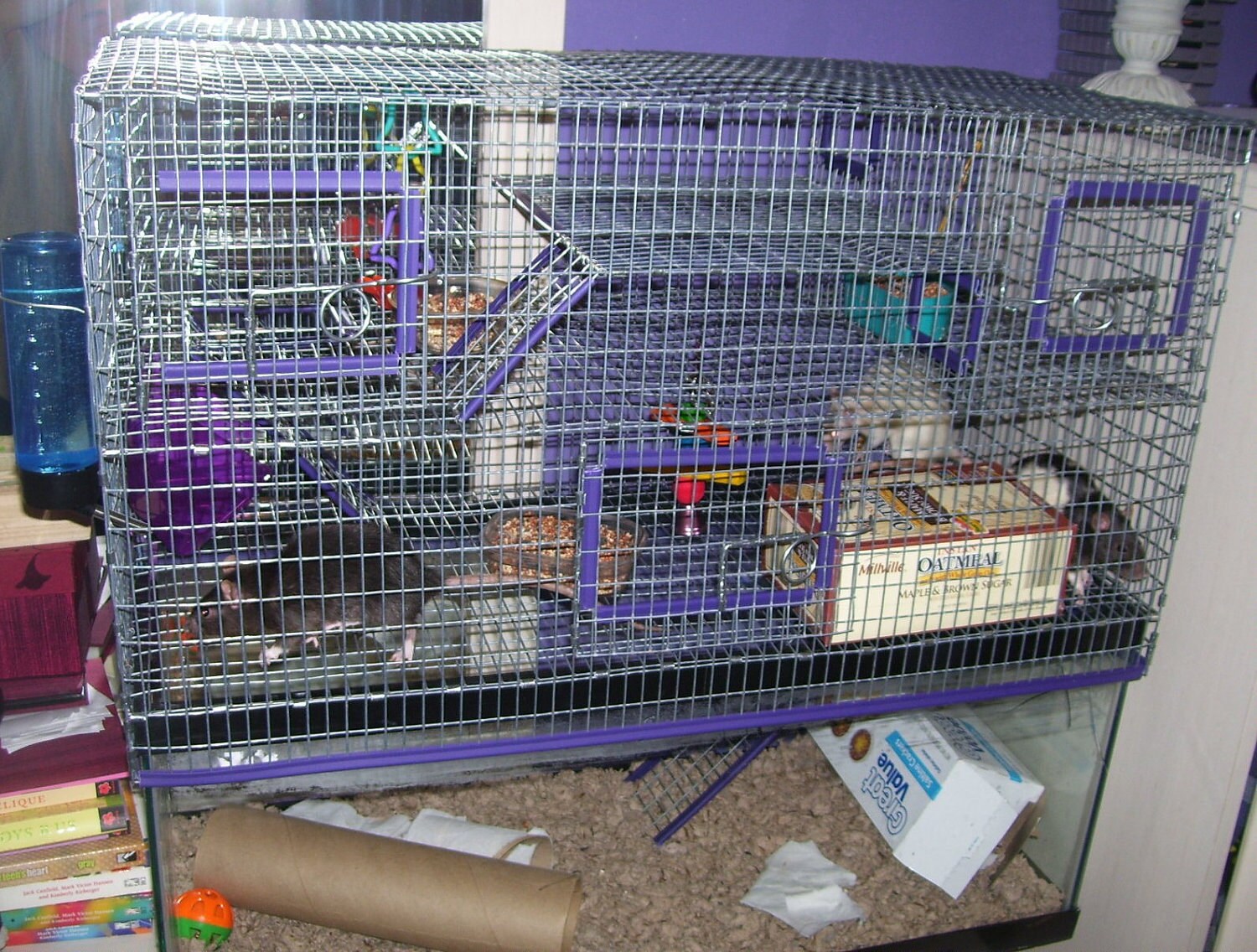 10 gallon Aquarium Topper Cage Funhouse Degu Rat Gerbil