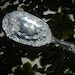 vintage hair brush onate silver plate vanity