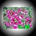 Stargazer Lilies Original Acrylic Painting Amber Elizabeth Lamoreaux Pink Lily Flowers Magenta Berry Star Gazer Contemporary Fine Art Green