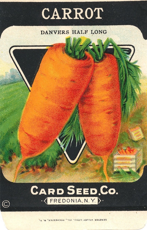 Vintage Carrot Seed Packet free shipping