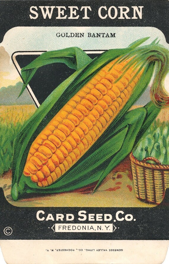 Vintage Sweet Corn Seed Packet free shipping