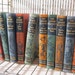 Vintage Childrens Books /10 Volume/ Illustrated Classics/ FREE SHIPPING/ The Young Folks' Shelf of Books from Tessiemay