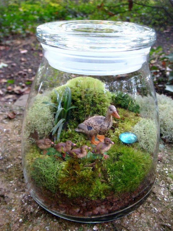 Extra Large Vibe Jar Terrarium Ducks Moss And Lichen