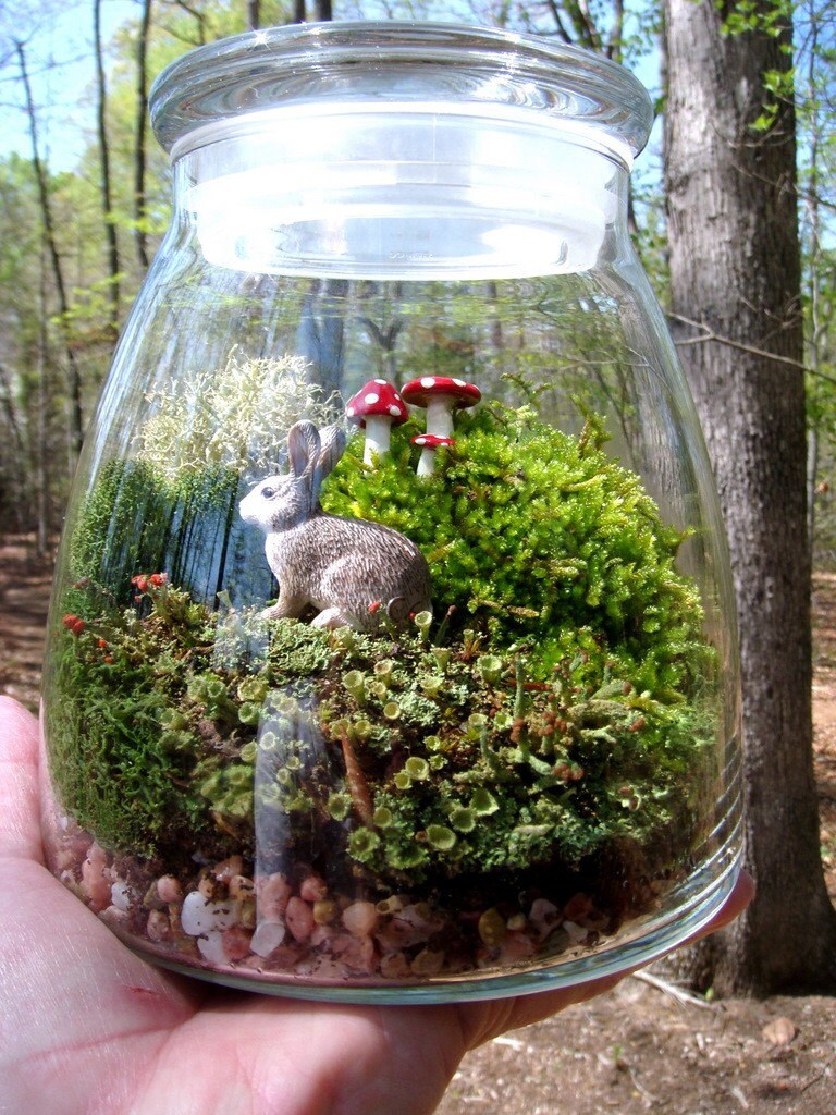 Extra Large VIBE JAR Terrarium Moss and Lichen Bunny