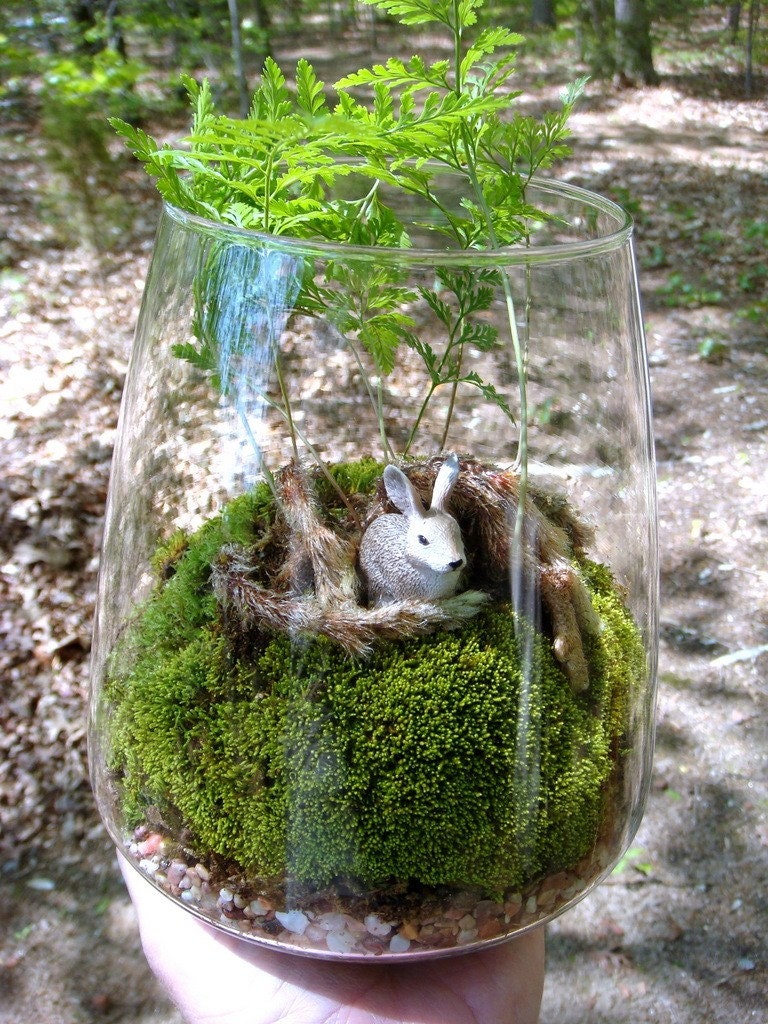Vase Terrarium Rabbits Foot Fern Moss. Terrariums by