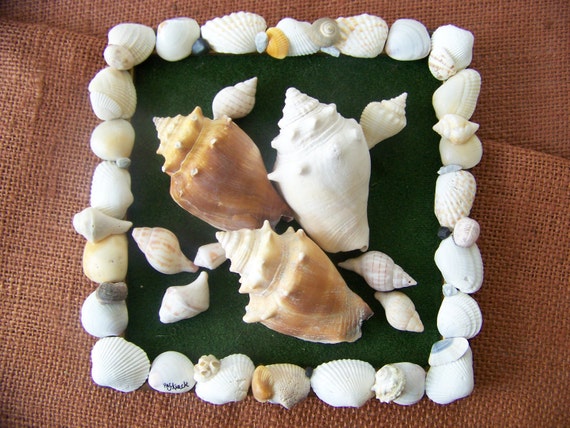 Natural Seashell Beach Decor Wall Set Framed Free