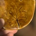 Fossil - A rustic trinket dish with an impression of a coral bell leaf.