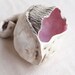 lifeform 2. Porcelain organic pod sculpture.