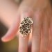 Cup Fungus Ring - Deep brown and ivory. Funky and fashionable.
