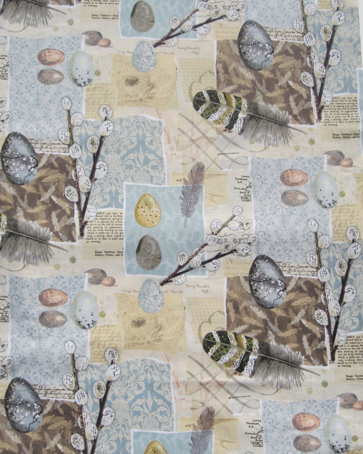Decorative Designer Cotton Fabric Beauty in Nature Patch 1