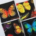 Butterfly Quilted Coasters (Set of 4)