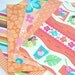CIJ SALE Orange Tropical Paradise Paper Pack Sampler