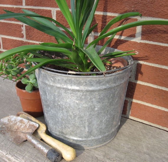 Vintage Galvanized Bucket Planter Vintage Metal by treasureagain