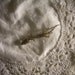 Reserved Scott Cruelty Free Gecko Lizard Taxidermy Religious Educational Magic Reptile Amphibian Baby Spell