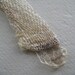 Cruelty Free Snake Shedding Cornsnake Pelt Shed 43 Inches Taxidermy Religious Educational Magic Spell Hoodoo Voodoo