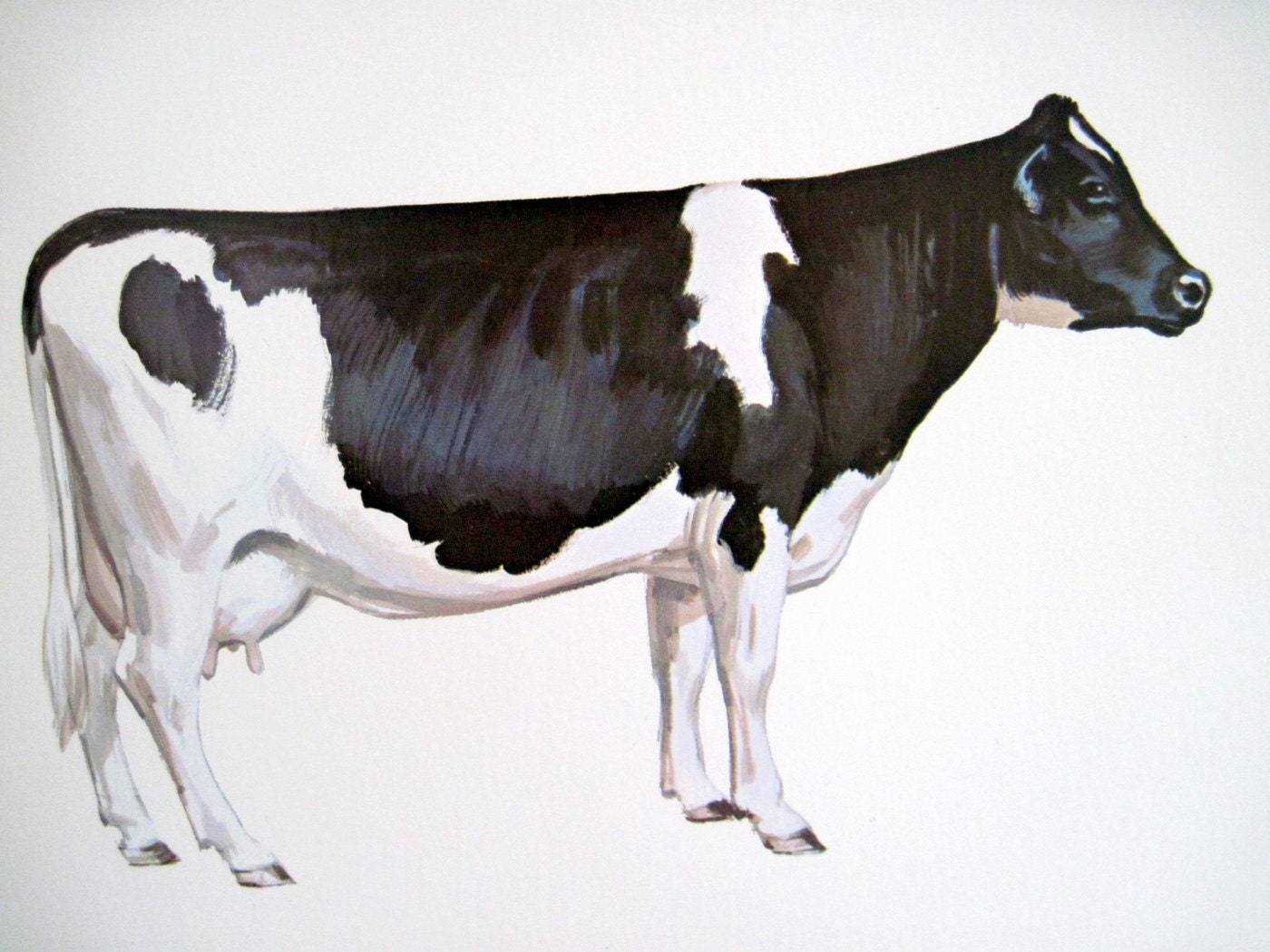 clip art holstein cow - photo #43