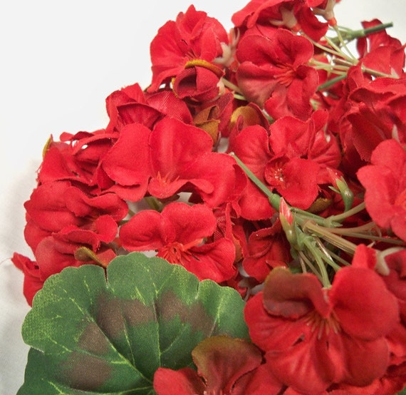 LOT Red Silk Geranium