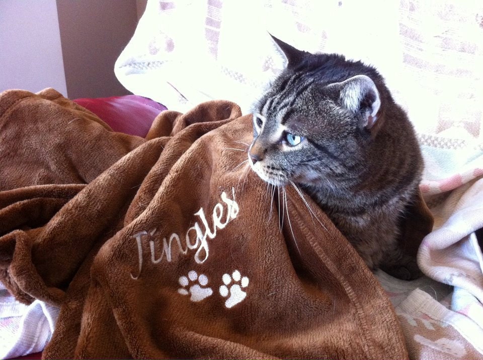 Chocolate Cat Blanket Paw Prints W/Personalization