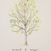 RESERVED (for ehager) Guest book fingerprint tree, MEDIUM birch (drawing with 4 ink pads)