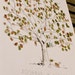 RESERVED (for angregware) Guest book fingerprint tree, Rush MEDIUM great oak (drawing with 2 ink pads)