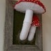 Large Toadstools in Barnwood Frame