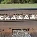 Personalized Wood Name Train Set - Wooden Toy - 6 Letter Name