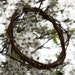 8" HANDMADE All-Natural Organic Grapevine Wreath