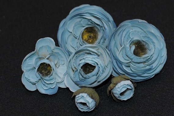 Blue Ranunculus Flowers