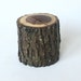 Natural Log Coin Bank