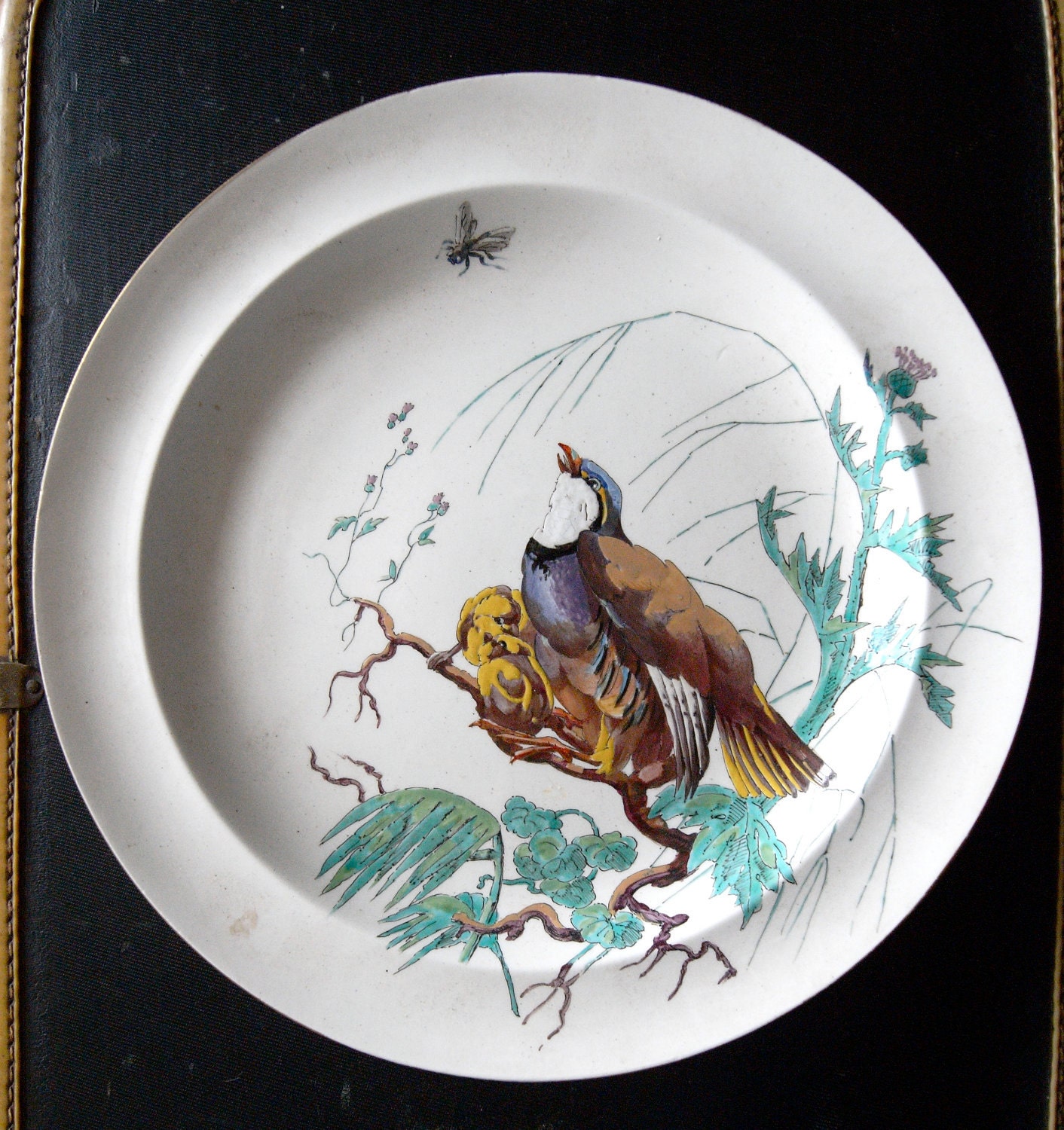 FOUR Rare Wedgewood Creamware Plates 1874 Birds and Insects