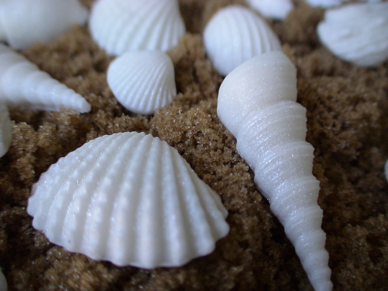 edible sugar sea shells set of 24