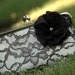 Lace Overlay Kisslock Clutch (Choose your colors)