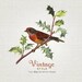 Vintage Sixty Four - Etsy Shop Banner Package, 6 graphics