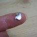 4 Sterling Silver Tiny Dove Bird Charm Pendants - Love Doves - Craft DIY Supply - Silver Components - Charm Findings - Commercial