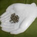 Shabby Milk Glass Cupped Hands Trinket/Soap/Mint Dish Vintage Avon Collectible -Wedding Perfect