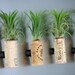 Live Plant Cork Magnet // Living Art // Unique Air Plant Decor // Set of Two